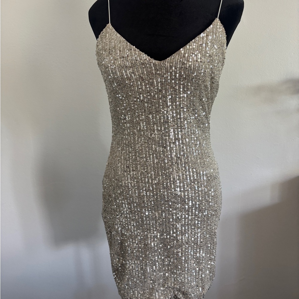 Elegant Sequin Dress in Silver